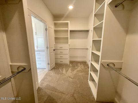 116 Willow Way, Canton, MS 39046 photo 21