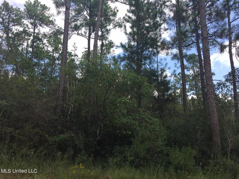 52 Quail Ridge Cir, Perkinston, MS 39573