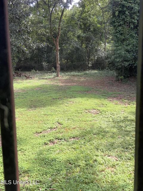 267 Sewanee Dr, Jackson, MS 39209 photo 18