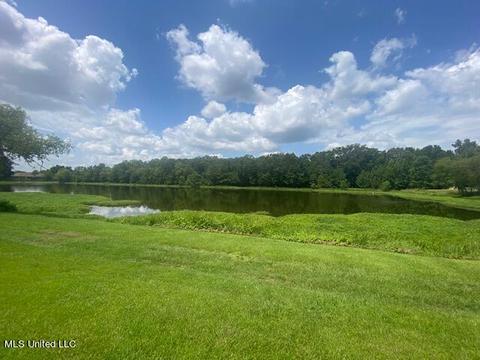 715 Whippoorwill Dr, Brandon, MS 39047 photo 7