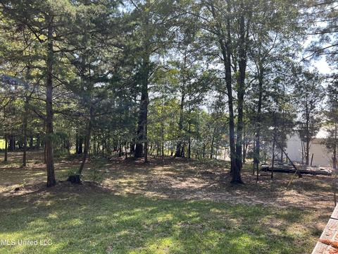 123 Pleasant St, Brandon, MS 39042 photo 19