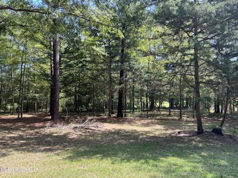 123 Pleasant St, Brandon, MS 39042 photo 2