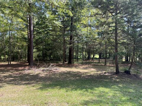 123 Pleasant St, Brandon, MS 39042 photo 18