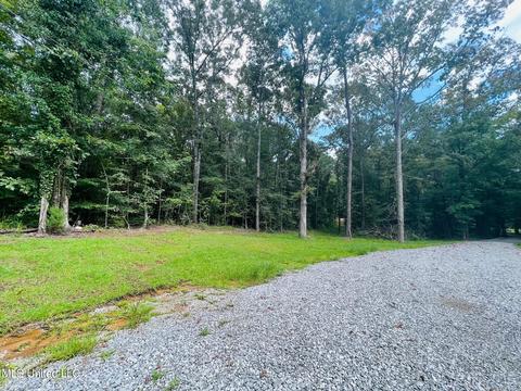 196 S Eagle Ridge Dr, Florence, MS 39073 photo 3