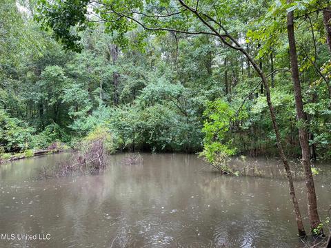 196 S Eagle Ridge Dr, Florence, MS 39073 photo 33