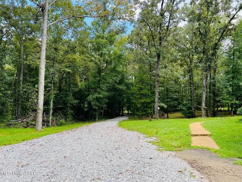 196 S Eagle Ridge Dr, Florence, MS 39073 photo 4