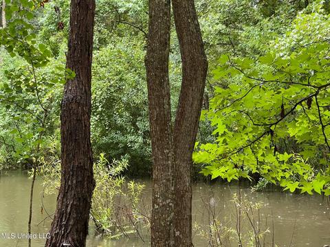 196 S Eagle Ridge Dr, Florence, MS 39073 photo 32