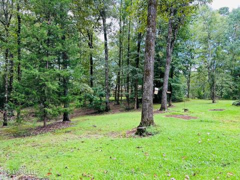 196 S Eagle Ridge Dr, Florence, MS 39073 photo 5