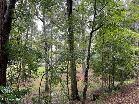 196 S Eagle Ridge Dr, Florence, MS 39073 photo 31