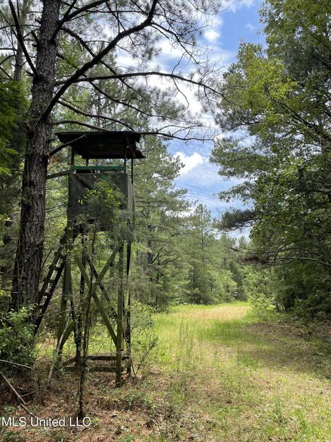 Seven Springs Road, Raymond, MS 39154