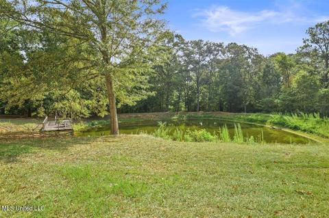 338 Siloam Rd, Magee, MS 39111 photo 44