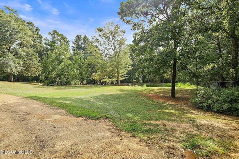 338 Siloam Rd, Magee, MS 39111 photo 43