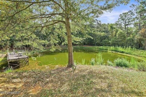 338 Siloam Rd, Magee, MS 39111 photo 45