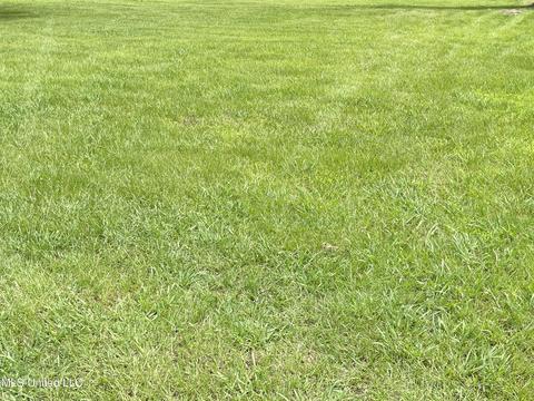 5733 Lucius Taylor Rd, Como, MS 38619 photo 10