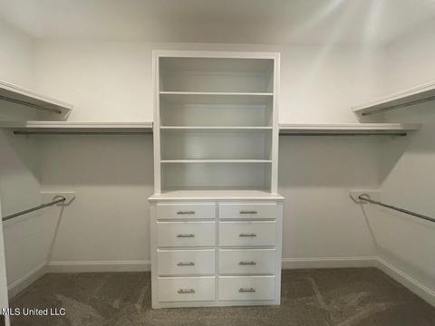 117 Willow Way, Canton, MS 39046 photo 25