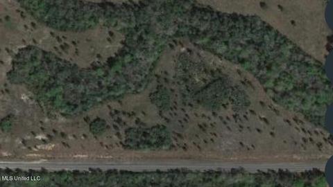 2 W Mchenry Rd, Mchenry, MS 39561 photo 2