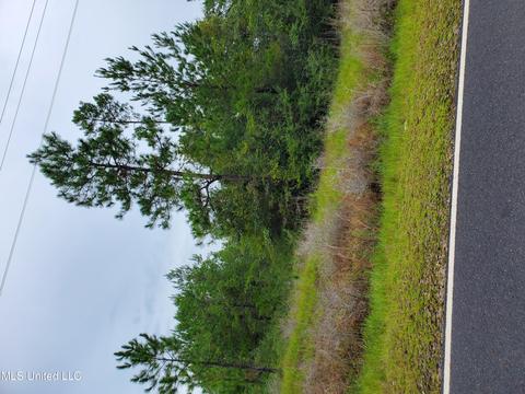 2 W Mchenry Rd, Mchenry, MS 39561