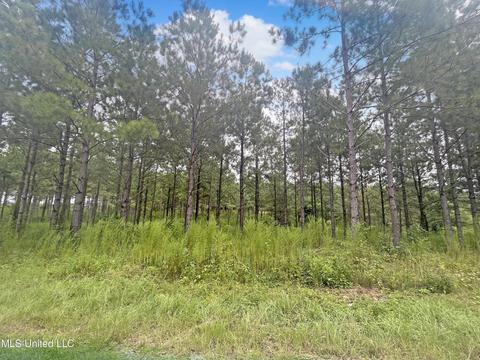 4307 Scr 106, Mize, MS 39116 photo 17