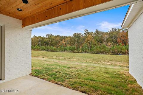 118 Landry Dr, Brandon, MS 39047 photo 45