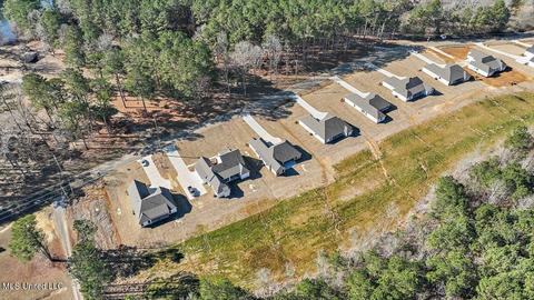 1618 Old Lake Rd, Brandon, MS 39042 photo 48