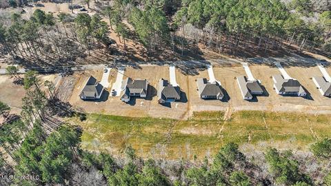 1618 Old Lake Rd, Brandon, MS 39042 photo 47
