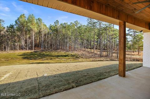 1610 Old Lake Rd, Brandon, MS 39042 photo 38