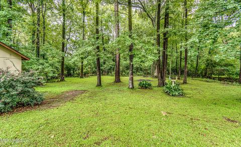 606 Treeline Dr, Brandon, MS 39042 photo 43
