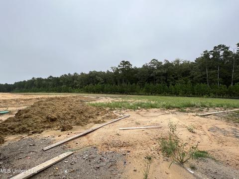 132 Landry Dr, Brandon, MS 39047 photo 28