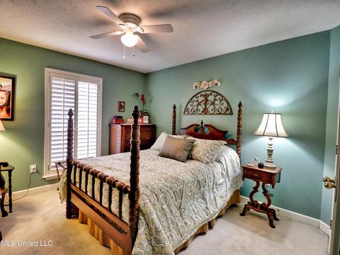 209 Meadowview Ln, Brandon, MS 39047 photo 19