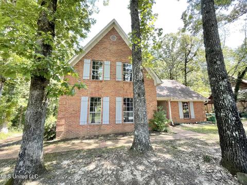 2440 Geneva Dr, Nesbit, MS 38651 photo 3