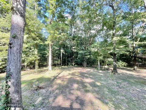 2440 Geneva Dr, Nesbit, MS 38651 photo 35