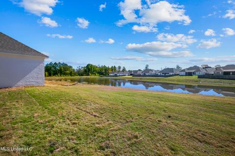 493 Crossvine Pl, Madison, MS 39110 photo 48