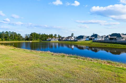 495 Crossvine Pl, Madison, MS 39110 photo 40
