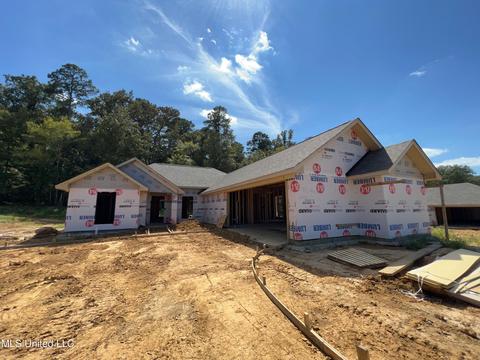 143 Allie Ln, Canton, MS 39046 photo 3