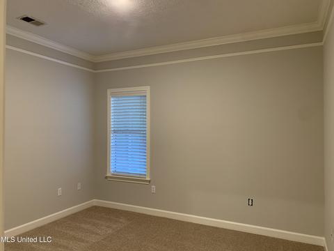3911 Magnolia Ln, Nesbit, MS 38651 photo 26