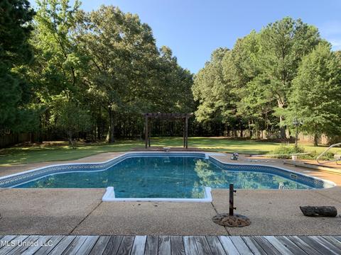 3911 Magnolia Ln, Nesbit, MS 38651 photo 37
