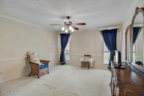 909 W Lake Dockery Dr, Jackson, MS 39272 photo 24
