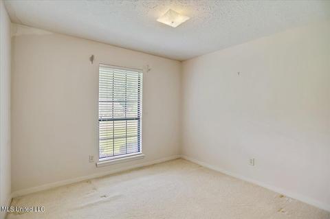 909 W Lake Dockery Dr, Jackson, MS 39272 photo 32