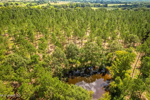 Cane Creek, Flora, MS 39071 photo 5