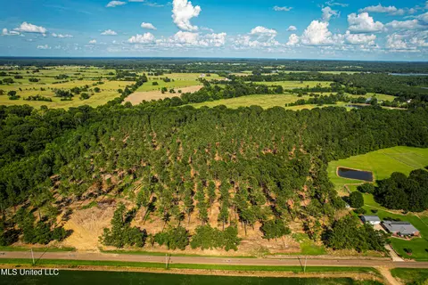 Cane Creek, Flora, MS 39071 photo 4