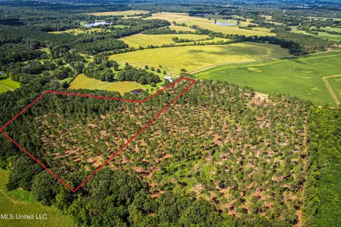 Cane Creek, Flora, MS 39071