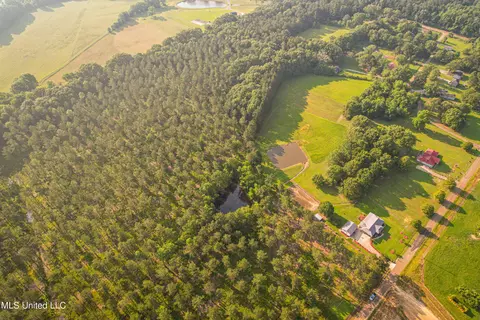 Cane Creek, Flora, MS 39071 photo 2