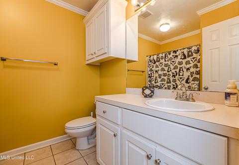 353 Greystone Pt, Terry, MS 39170 photo 17