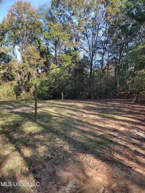 5560 Grants Ferry Rd, Flowood, MS 39232 photo 17