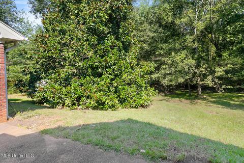 807 Eagles Nest Dr, Byram, MS 39272 photo 22