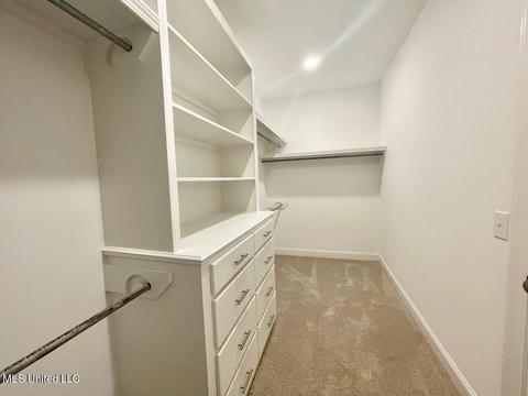 119 Willow Way, Canton, MS 39046 photo 16