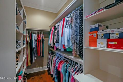 100 Camden Shrs, Madison, MS 39110 photo 25