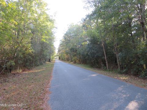Nhn Lynne Street, Ocean Springs, MS 39564