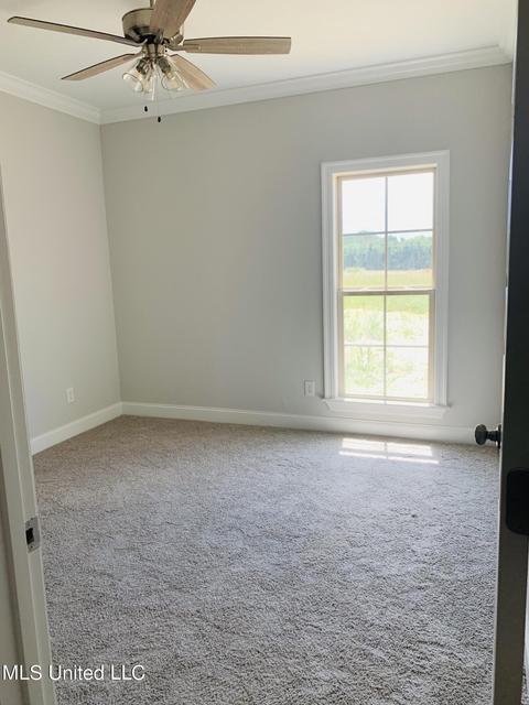 969 Glenwild Cir, Canton, MS 39046 photo 21