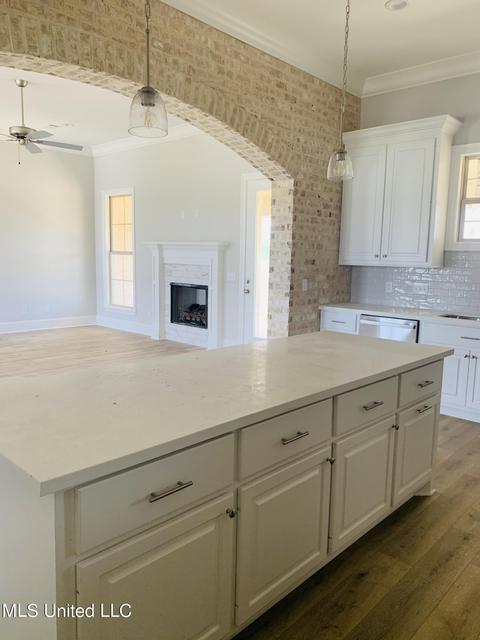 969 Glenwild Cir, Canton, MS 39046 photo 7